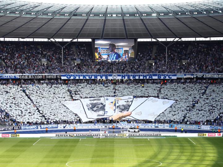 开云体育平台APP-沃尔夫斯堡不敌对手,遗憾出局的简单介绍